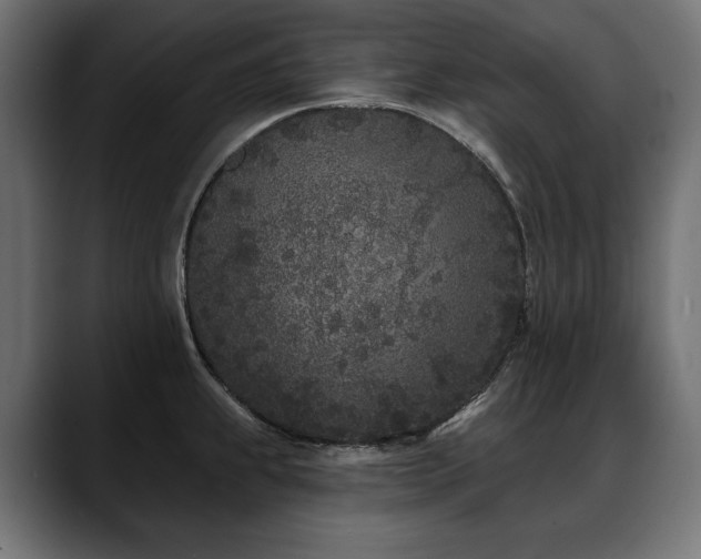 X0000088571239200705251111