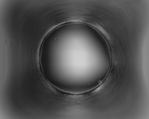 X0000088571240200705251111