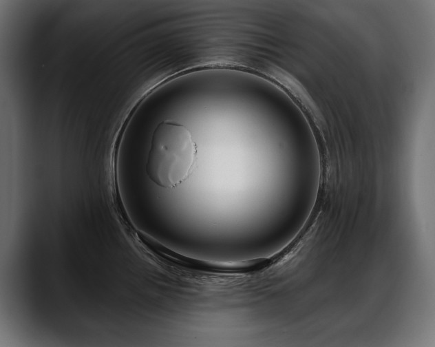 X0000088571242200705251111