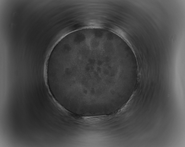 X0000088571243200705251111