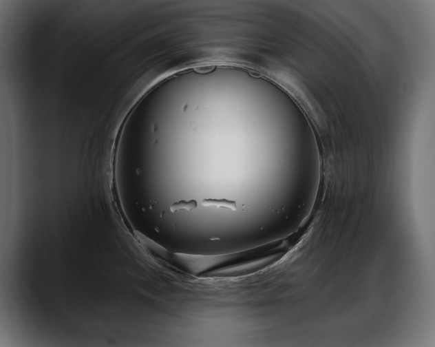 X0000088571244200705251111