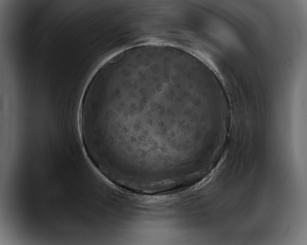 X0000088571247200705251111