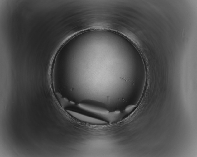 X0000088571248200705251111