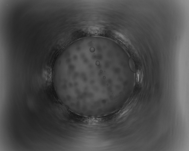 X0000088571251200705251111