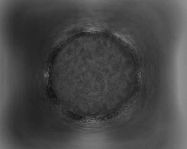 X0000088571254200705251111