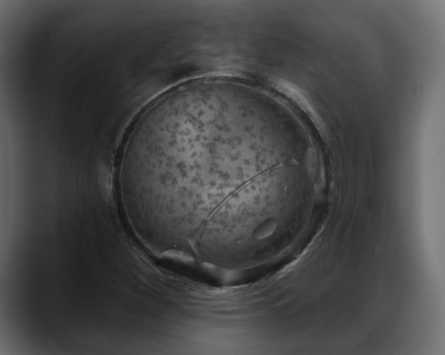 X0000088571260200705251110