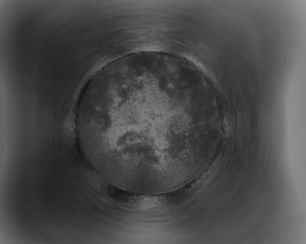 X0000088571266200705251110