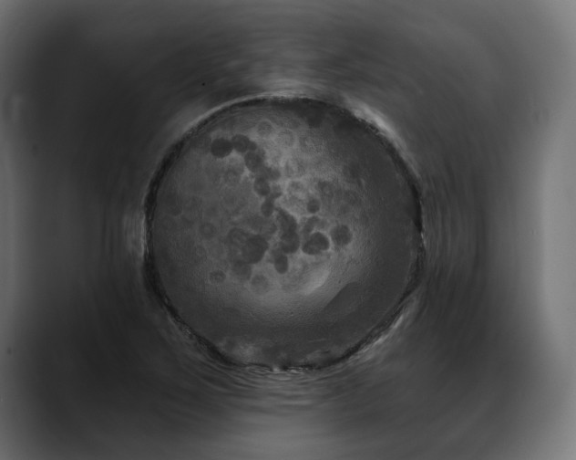 X0000088571267200705251110