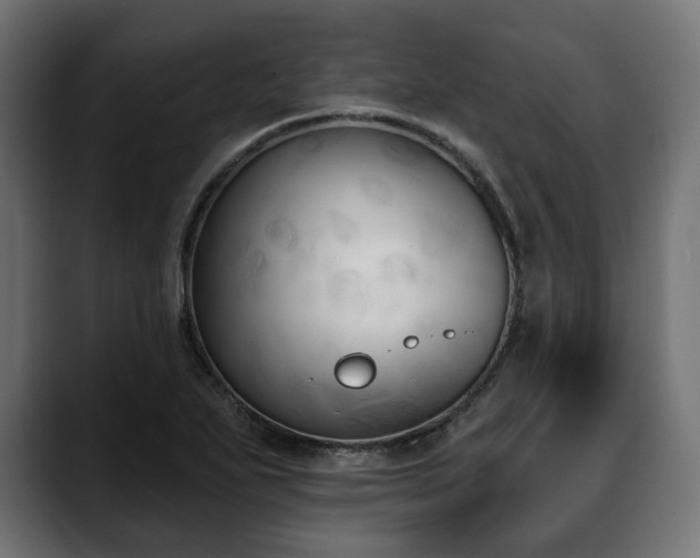 X0000088571271200705251110