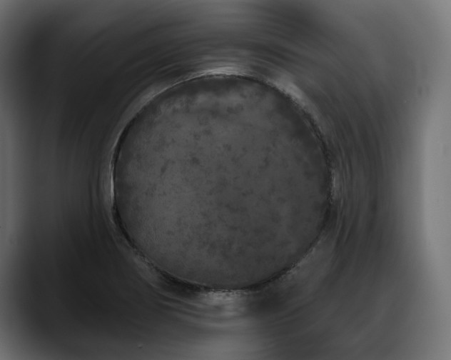 X0000088571274200705251110