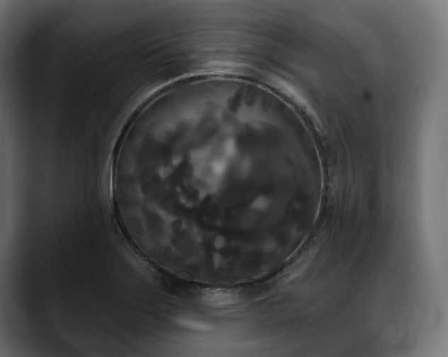 X0000088571275200705251110