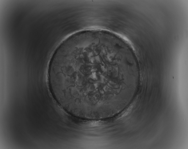 X0000088571279200705251110