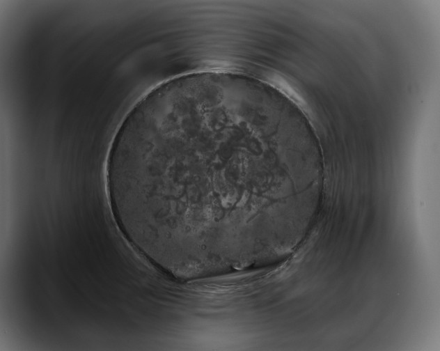 X0000088571283200705251110
