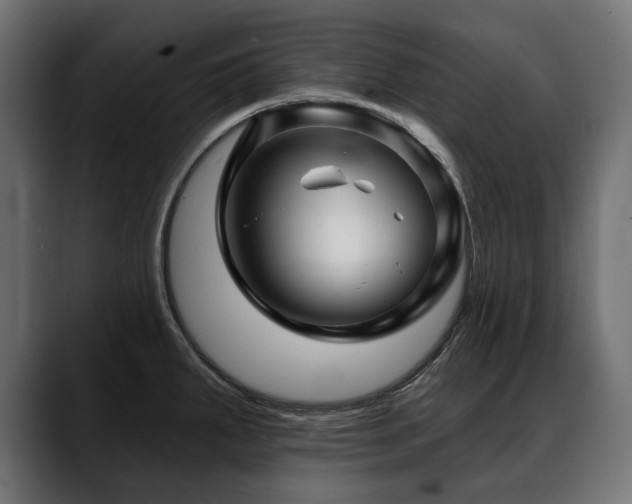 X0000088571287200705251110