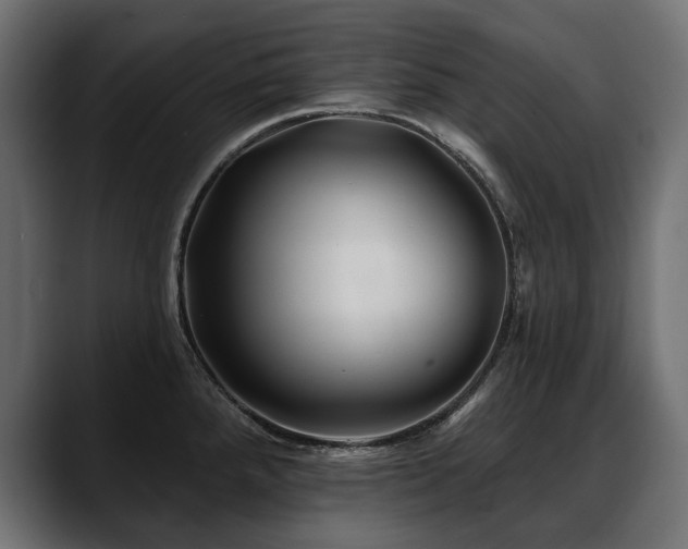 X0000088571288200705251110