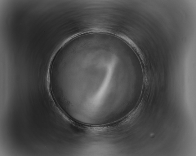 X0000088571294200705251110