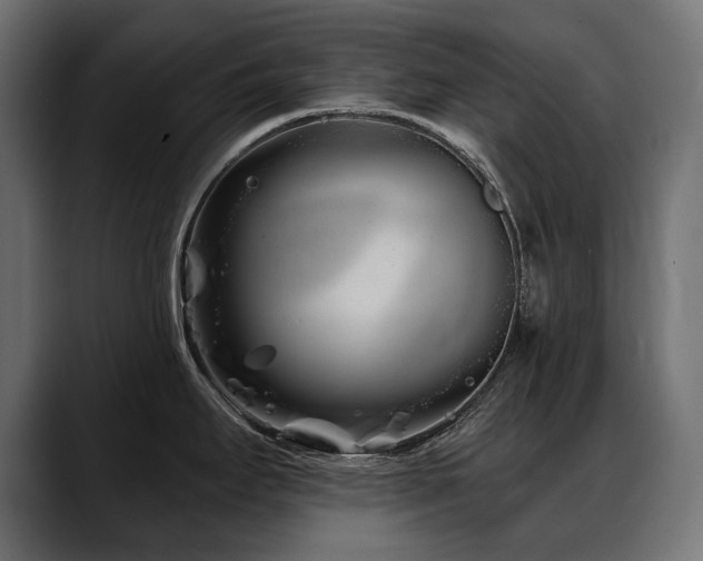X0000088571295200705251110