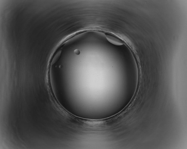 X0000088571296200705251110