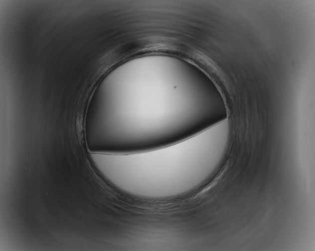 X0000088571321200705251109
