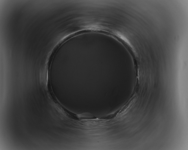 X0000088571323200705251110