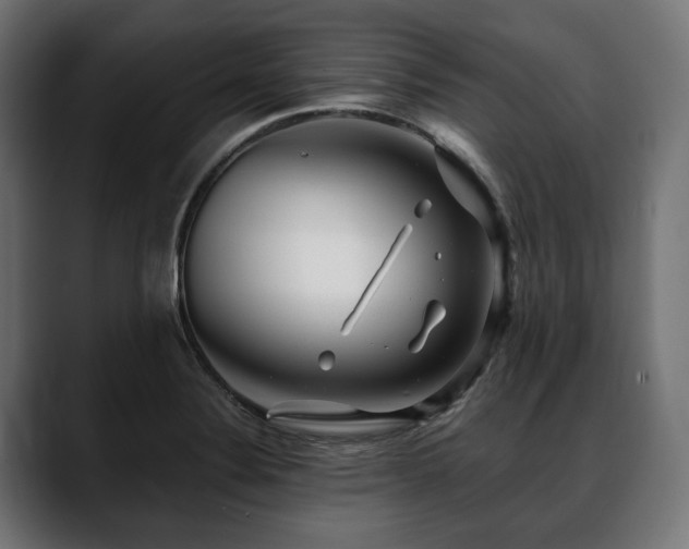 X0000088571324200705251110