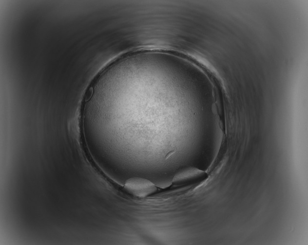 X0000088571325200705251110