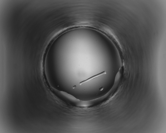 X0000088571328200705251110