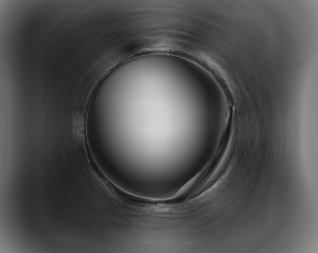 X0000088571329200705251110