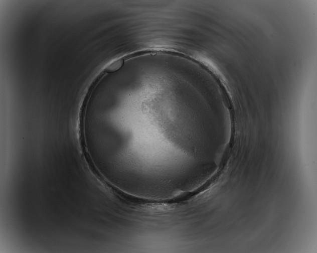 X0000088571331200705251110