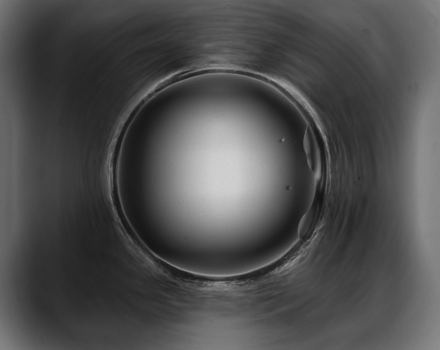 X0000088571341200705251110