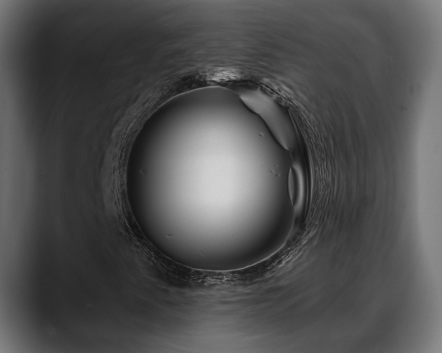 X0000088571345200705251109