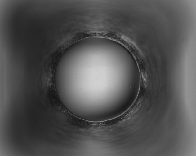 X0000088571350200705251109