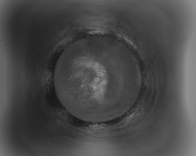 X0000088571351200705251109