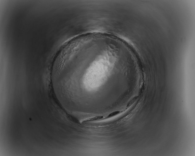 X0000088571359200705251109