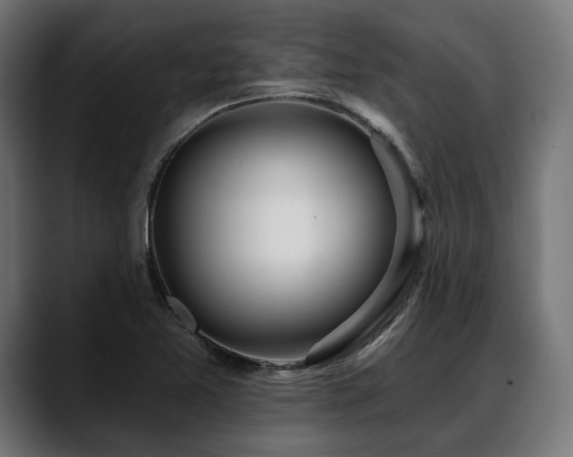 X0000088571365200705251109