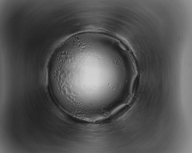 X0000088571371200705251109