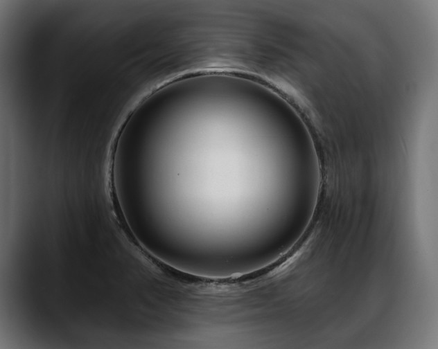X0000088571374200705251109