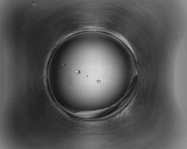 X0000088571381200705251109