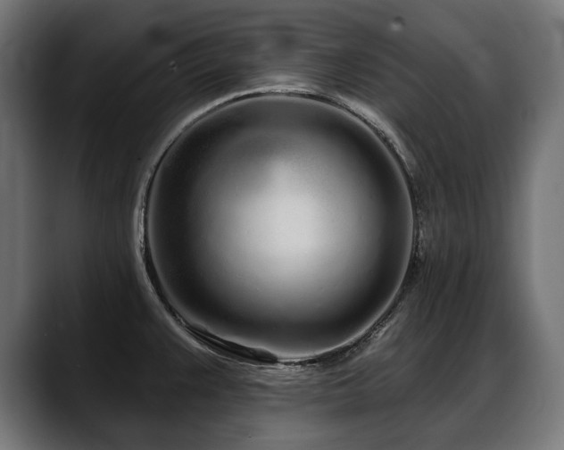 X0000088571383200705251109