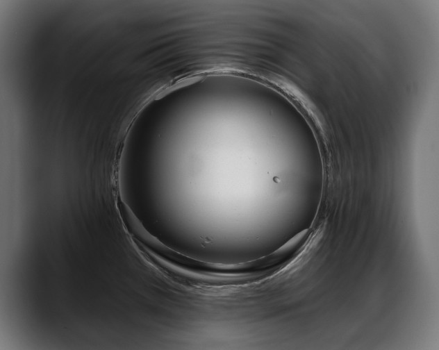 X0000088571385200705251109