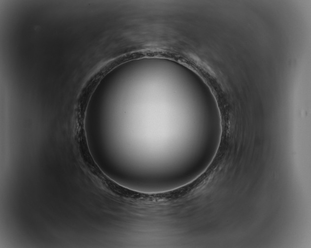 X0000088571400200705251108