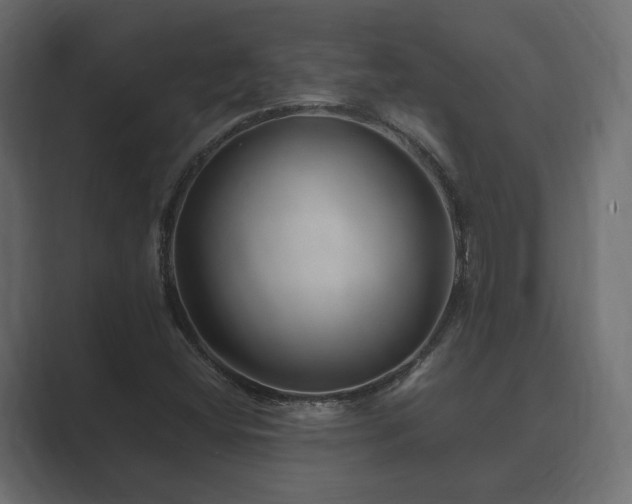 X0000088571404200705251108