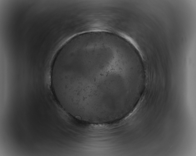 X0000088571415200705251108