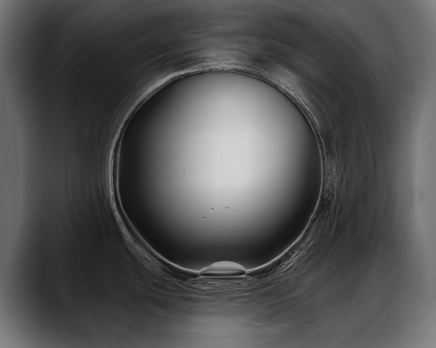 X0000088571439200705251109