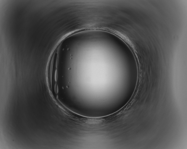 X0000088571440200705251109