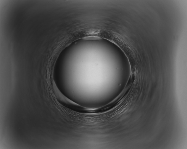 X0000088571441200705251108