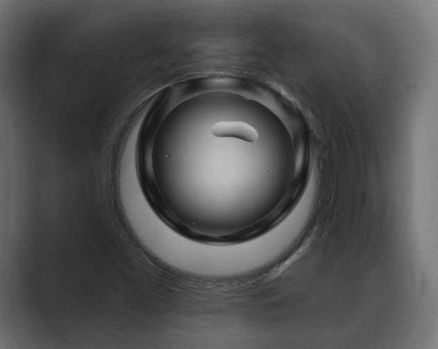 X0000088571453200705251108