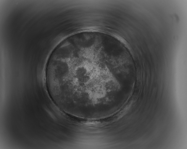X0000088571466200705251108