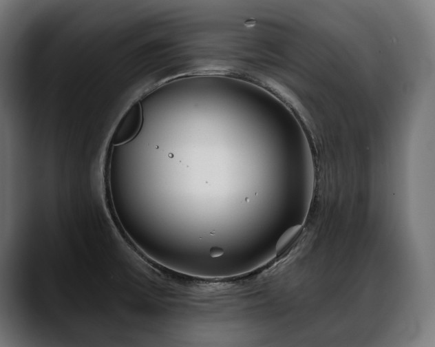 X0000088571475200705251107