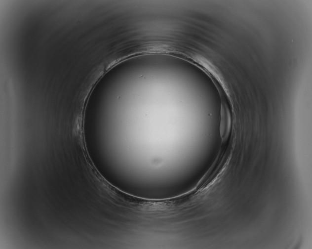 X0000088571481200705251107